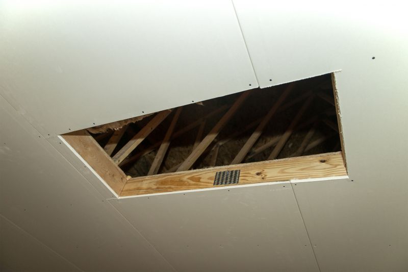 Attic Water Damage Repair in Conroe, TX