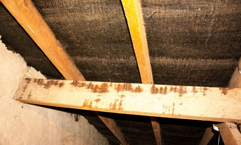 Building Damage Repair in Conroe, TX