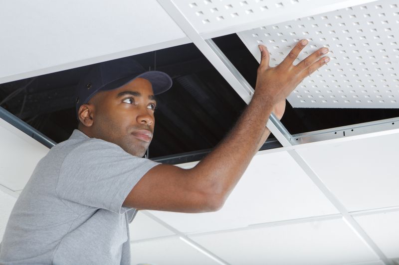 Ceiling Removal Service in Summerville, SC