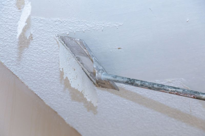 Ceiling Removal Service in Denver, CO