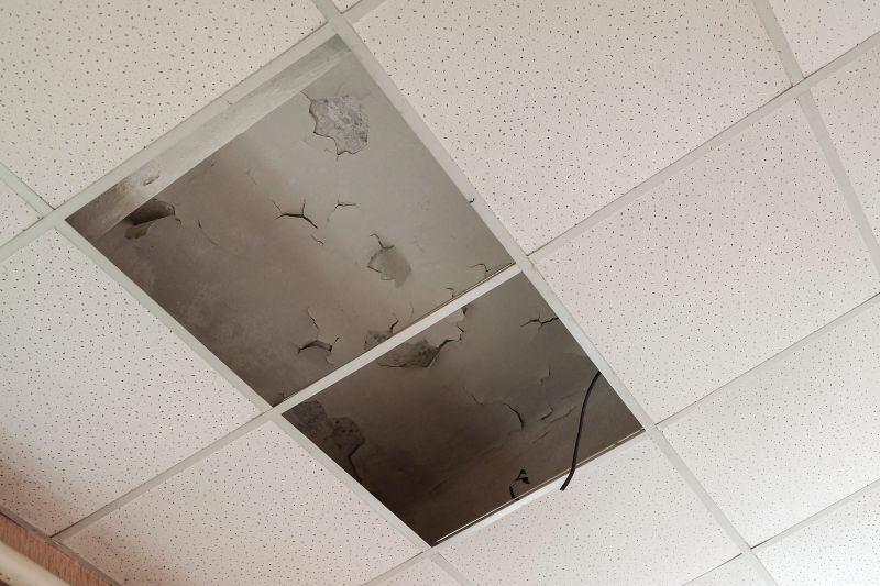 Ceiling Removal Service in Conroe, TX