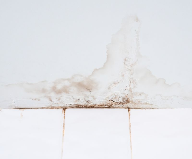 Leaking Ceiling Repair in Littleton, CO