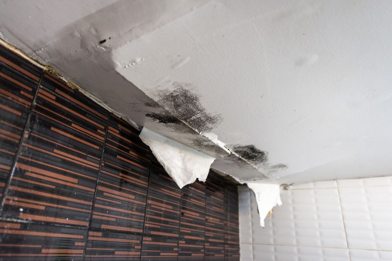 Water Damage Ceiling Repair in Denver, CO