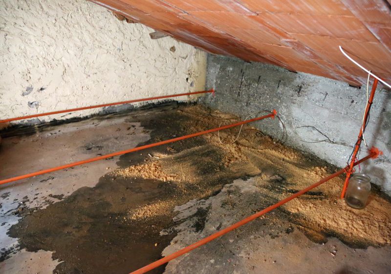 Leaking Ceiling Repair in Houston, TX